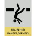 【CAINZ-DASH】日本緑十字社 ステッカー標識　開口部注意　ＪＨ－２４Ｓ　１６０×１２０ｍｍ　５枚組　ＰＥＴ 029124【別送品】