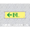 【CAINZ-DASH】日本緑十字社 高輝度蓄光ステッカー標識用プレート　壁面用　ＫＡＰ１０３０　１１０×３２４ｍｍ　アルミ製 377001【別送品】