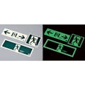 【CAINZ-DASH】日本緑十字社 中輝度蓄光避難誘導ステッカー標識　非常口　ＴＳＮ８６０　１５０×１５０ｍｍ　消防認定品 068032【別送品】