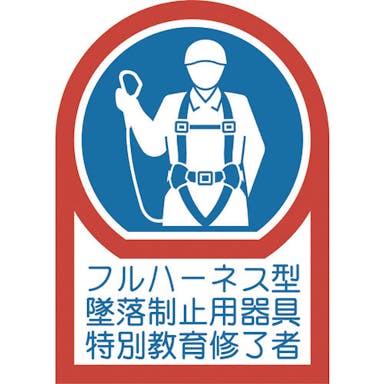 【CAINZ-DASH】日本緑十字社 ヘルメット用ステッカー　フルハーネス型墜落制止用器具特別教育修了者　ＨＬ－１２８　３５×２５ｍｍ　１０枚組　オレフィン 233128【別送品】