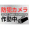 【CAINZ-DASH】日本緑十字社 イラストステッカー標識 防犯カメラ作動中 貼-133 150×220mm 2枚組 PET 047133【別送品】