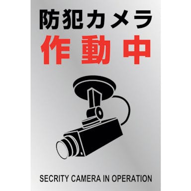 【CAINZ-DASH】日本緑十字社 イラストステッカー標識　防犯カメラ作動中　貼－１３４　２２０×１５０ｍｍ　２枚組　ＰＥＴ 047134【別送品】