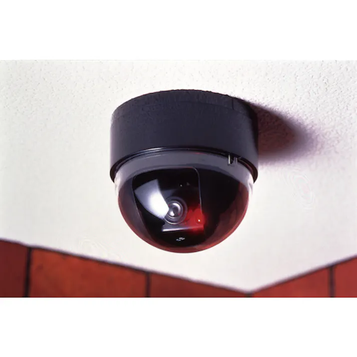 【CAINZ-DASH】日本緑十字社 ダミー防犯カメラ CDSセンサー搭載 ダミーカメラ ドーム型 352074【別送品】