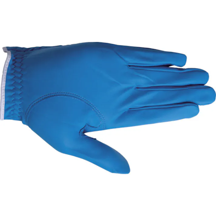 【CAINZ-DASH】ペンギンエースジャパン ポリスジャパン G202N青 Lサイズ G-202N-B-L【別送品】