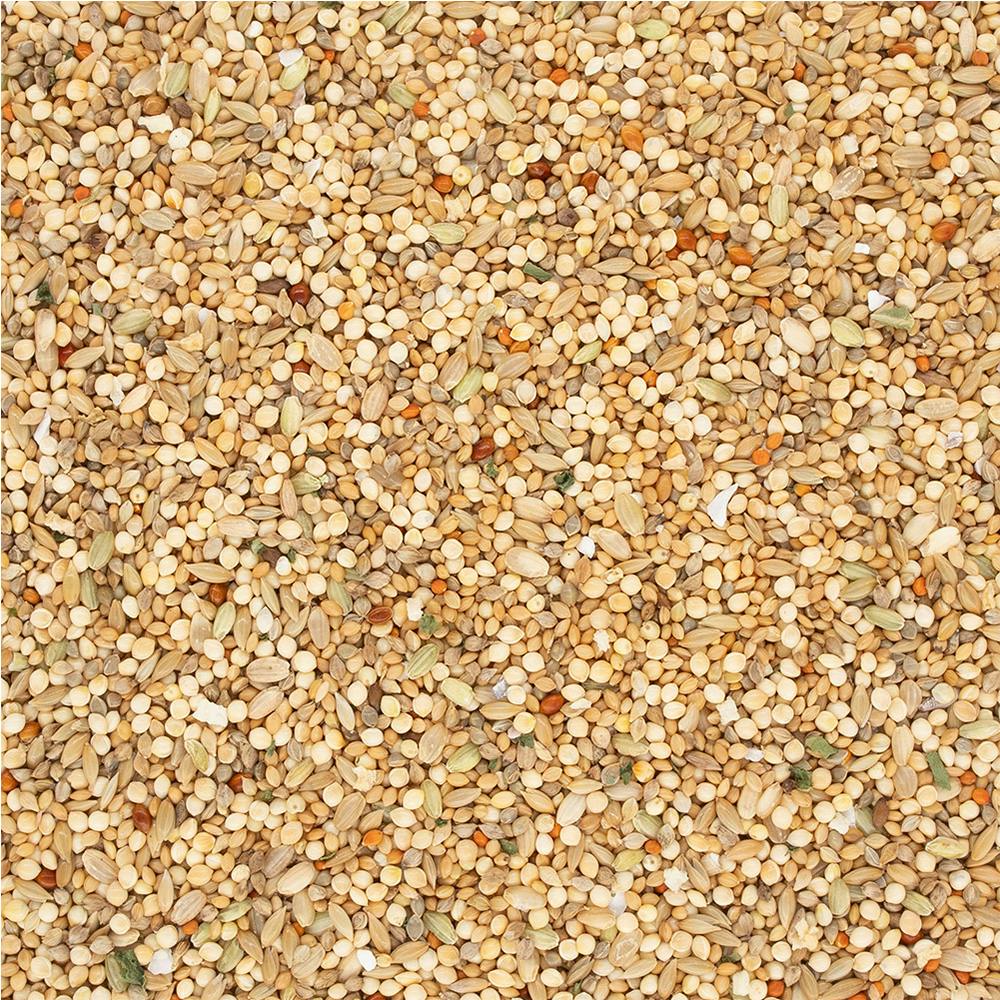 ファインバード 文鳥用 800g | ペット用品（小動物・鳥・亀・爬虫類