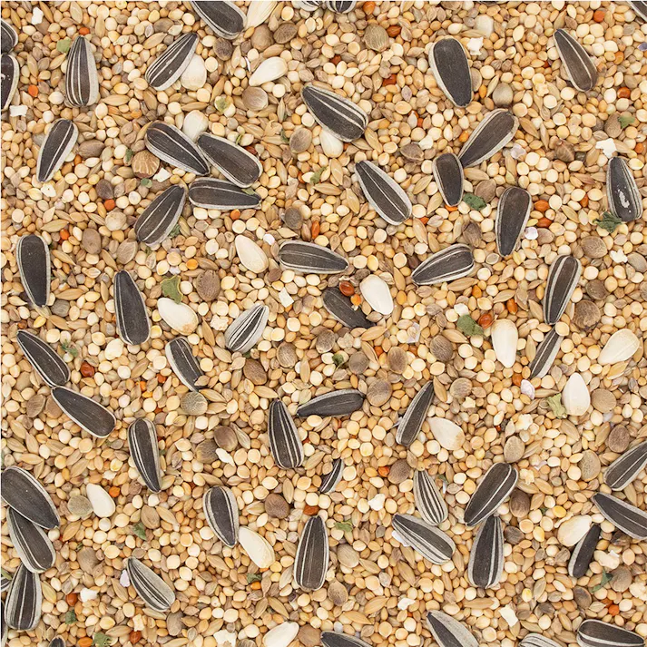 ファインバード 中型インコ用 650g