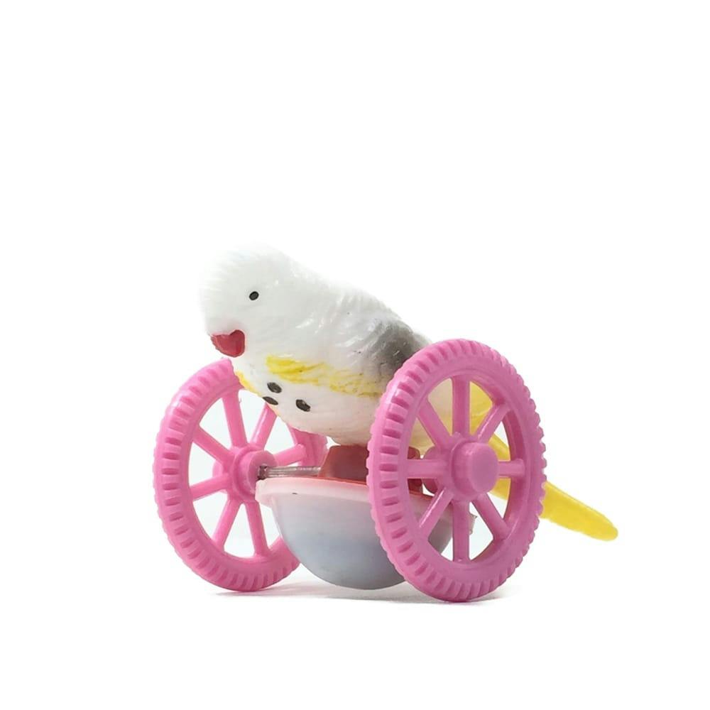 安心の生産者仕入れ】ピセア プンゲンス コロラドトウヒ※お届け早い