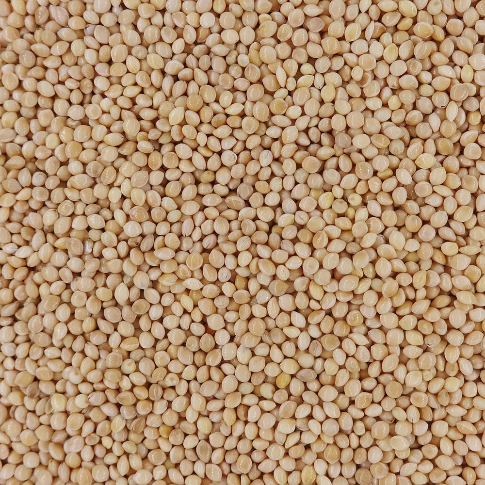 ナチュラルセレクト キビ(皮付き) 500g | ペット用品（小動物・鳥・亀