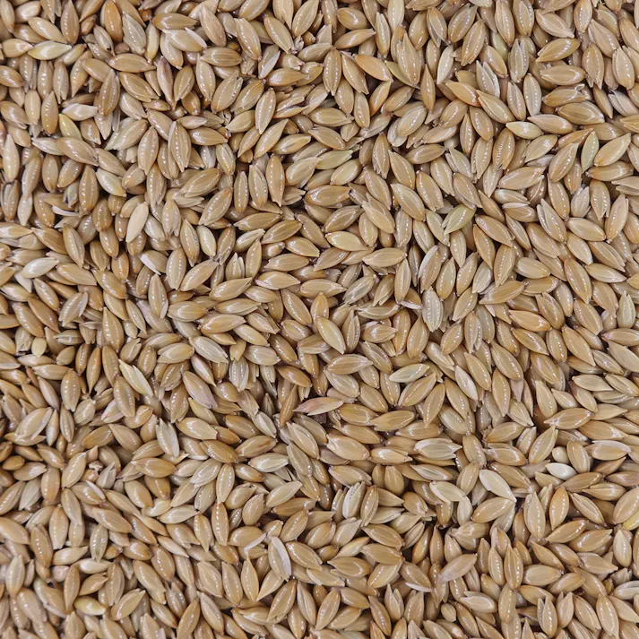 ナチュラルセレクト カナリアシード 400g