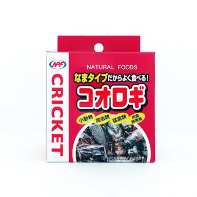 コオロギ 40g(缶入り)