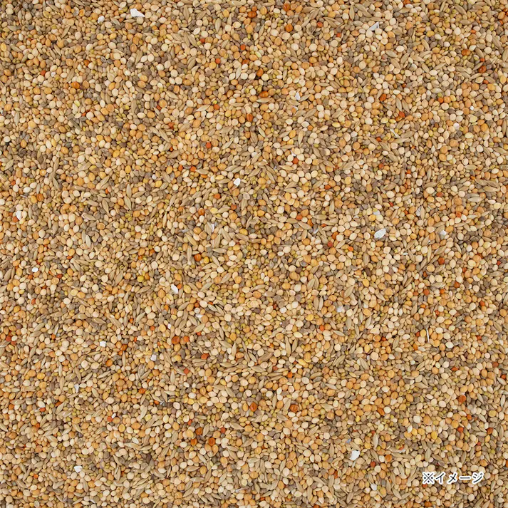 エクセル 皮付きの食事 600g