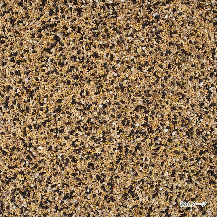 エクセル カナリア 皮付き 500g