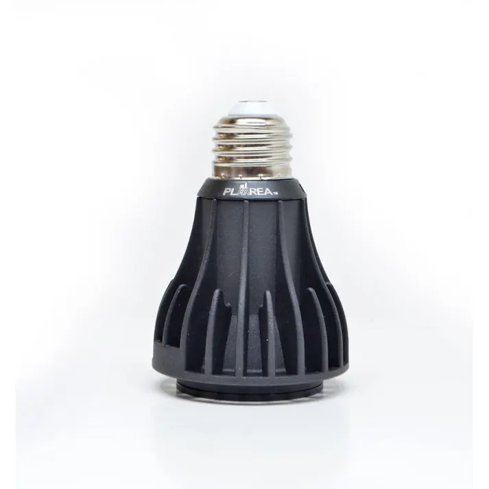 EverSun365 エバーサンサンロクゴー ミニ mini12W ブラック