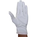 【CAINZ-DASH】ウインセス 静電気防止手袋　ワイピング手袋　Ｌ　（１０双入） 8060-L【別送品】