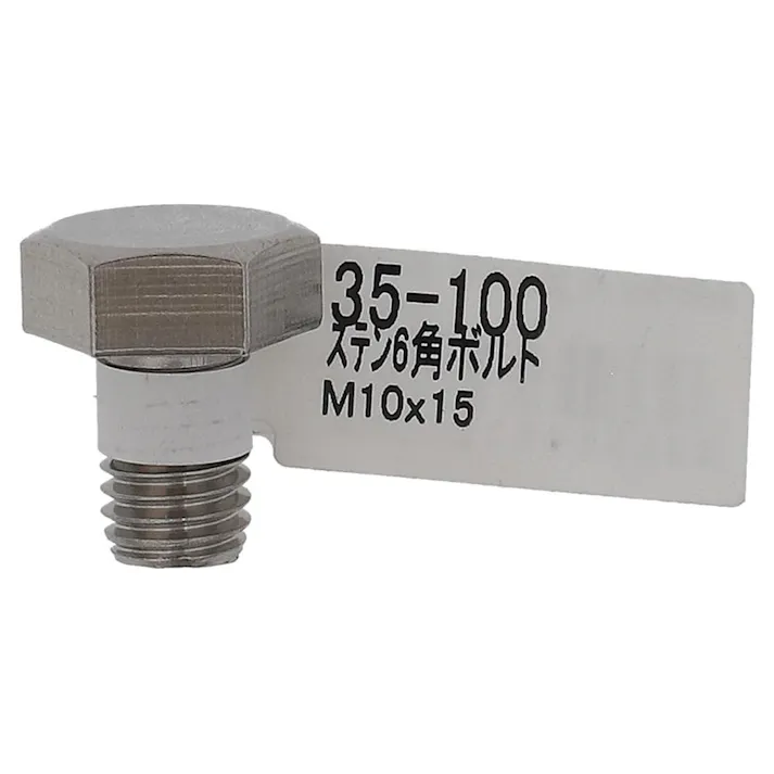 六角ボルト ステンレス 35-100 M10×15mm バラJAN付