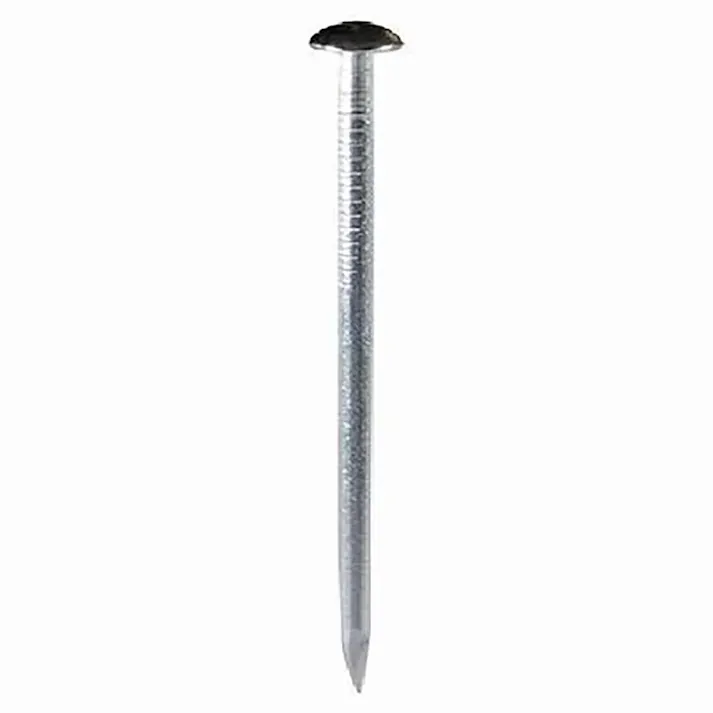 ステンレス 釘丸 #12×50mm 250g 袋売