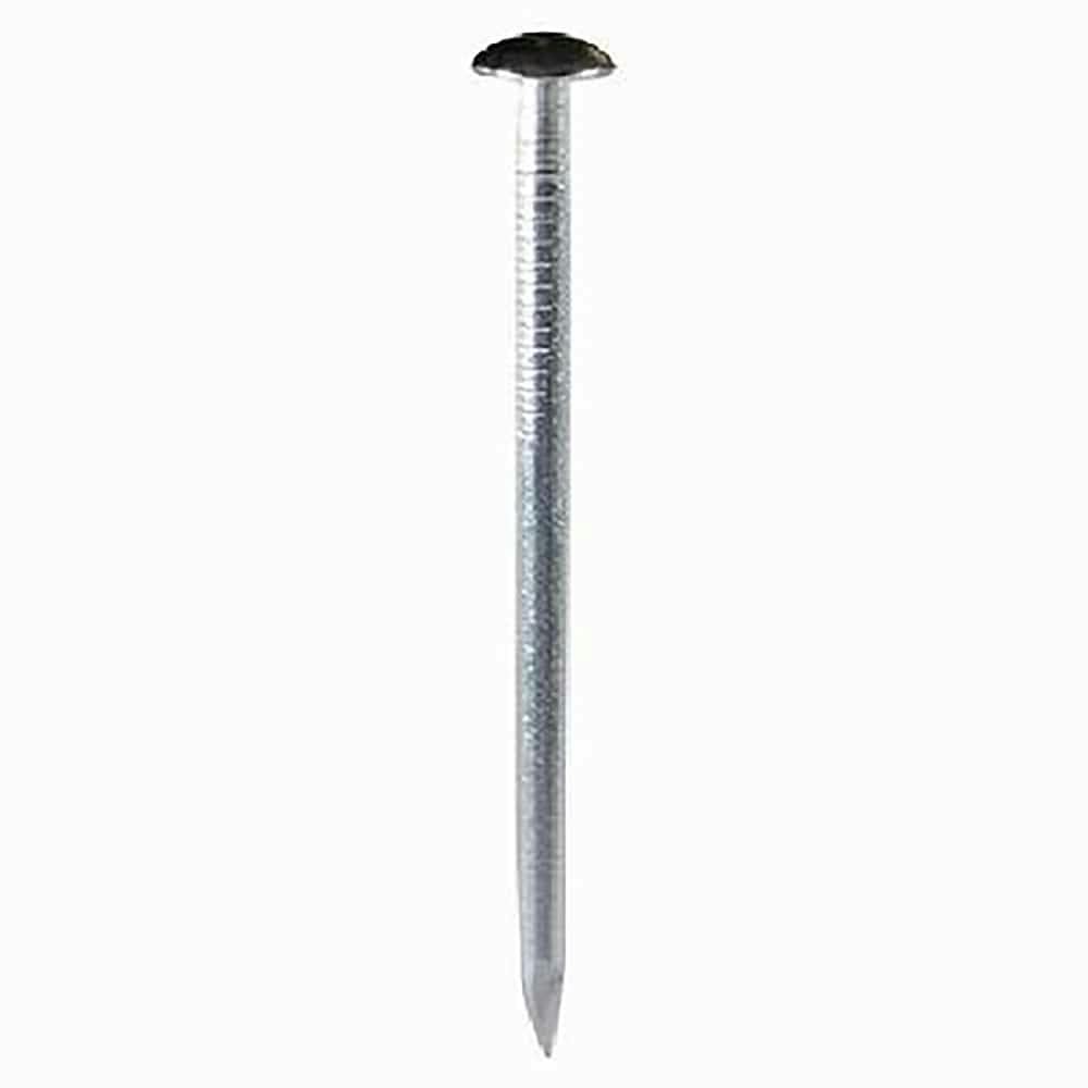 XeX B #11×65mm 250g ܔ B