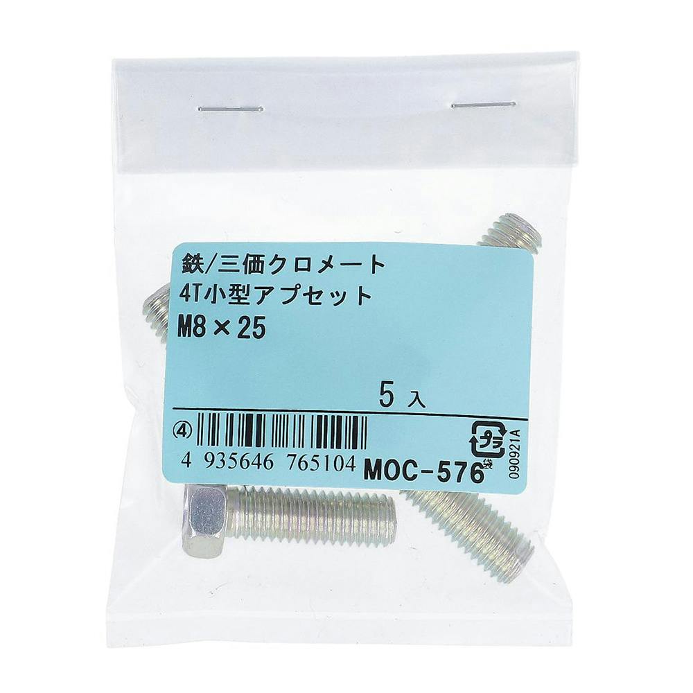 4T小型アプセット 鉄/三価クロメート M8×25mm 5入