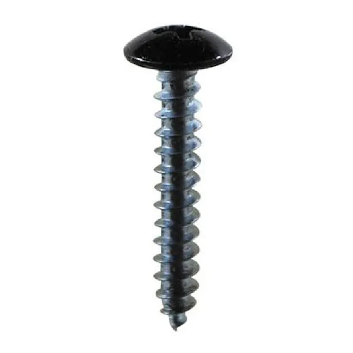 タッピング頭塗装 トラス 鉄/ユニクロメッキ 黒 4×20mm 10入