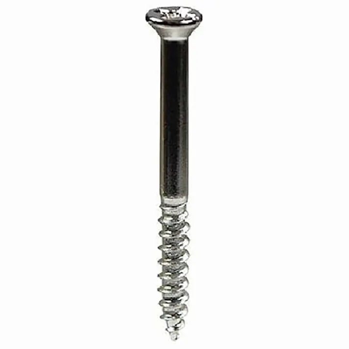 建具用木ねじ 鉄ニッケル BO-401 2×19mm 12入 小袋