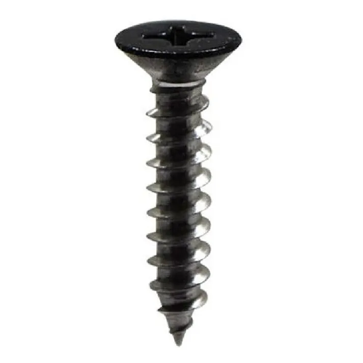 タッピング 頭塗装 ステンレス 皿 黒 CO-761 3×10mm 19入 小袋
