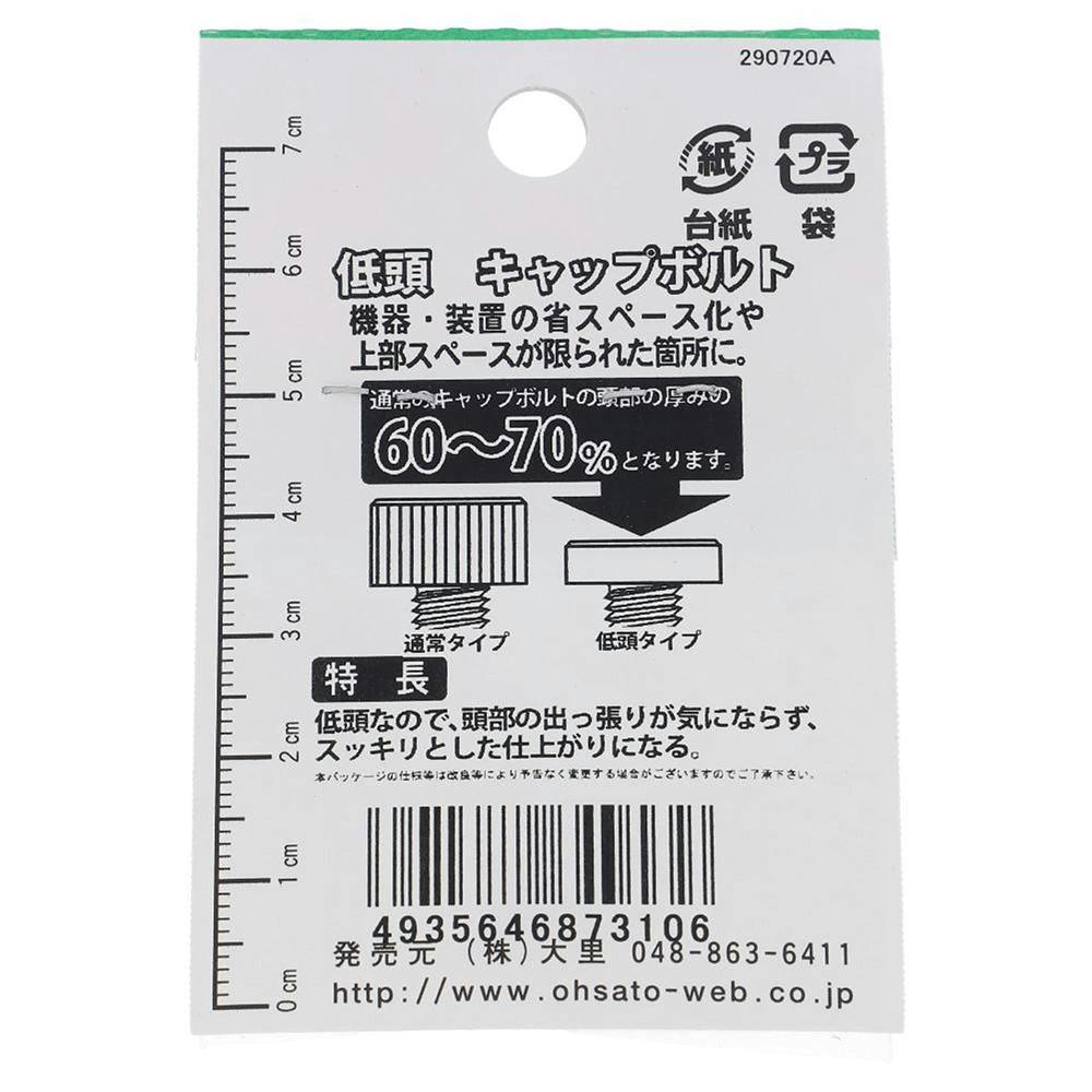 六角穴付ボルト ステンレス 低頭 GO-310 5×10mm 2本入 | ねじ