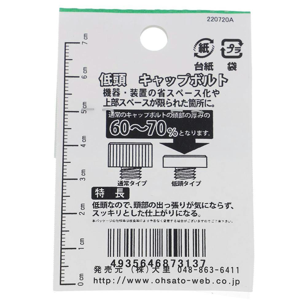 六角穴付ボルト ステンレス 低頭 GO-313 5×20mm 2本入 | ねじ