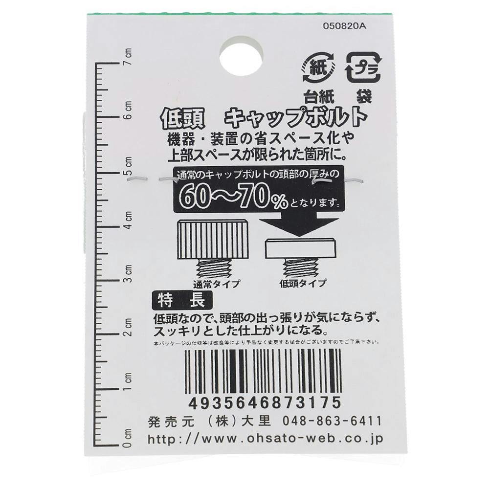 六角穴付ボルト ステンレス 低頭 GO-317 6×12mm 2本入 | ねじ・くぎ