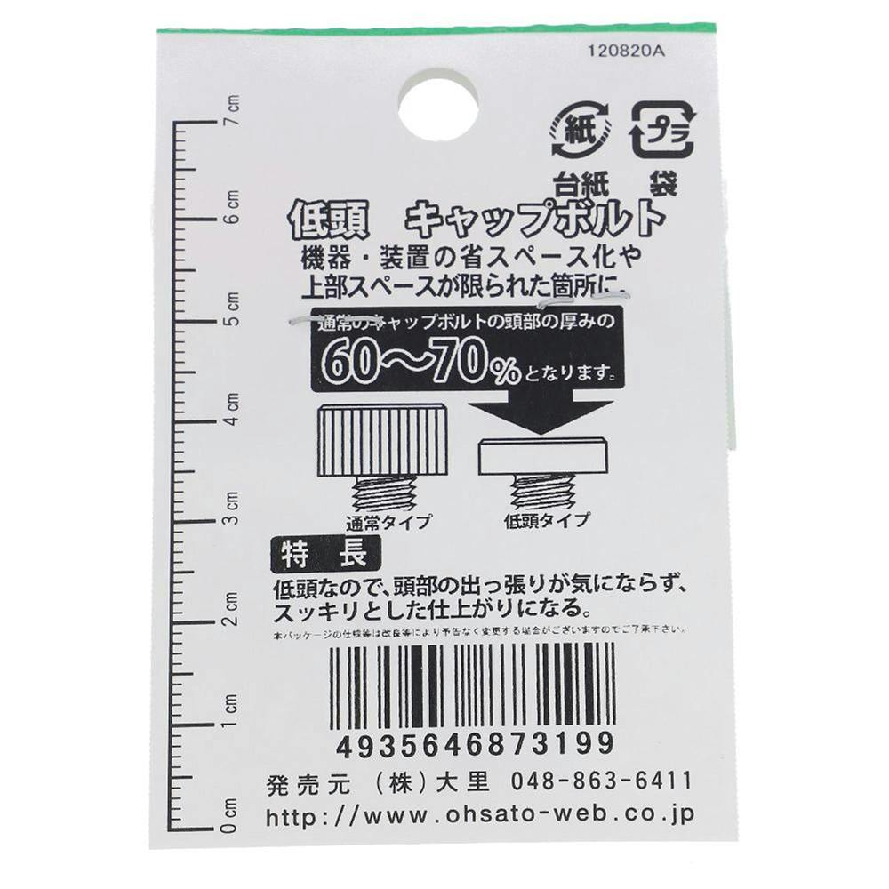 六角穴付ボルト ステンレス 低頭 GO-319 6×20mm 2本入 | ねじ・くぎ