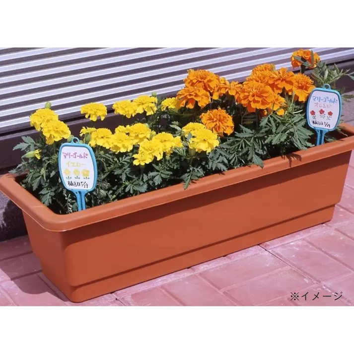 コンパル 花壇のプレートS 22cm