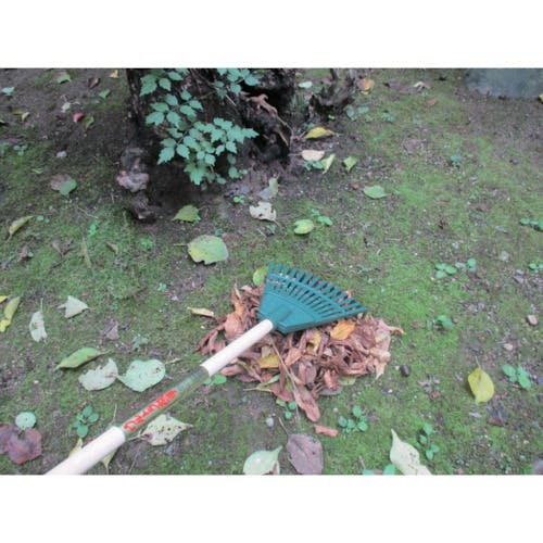 CAINZ-DASH】コンパル ウルトラ熊手 小 491227【別送品】 | 園芸