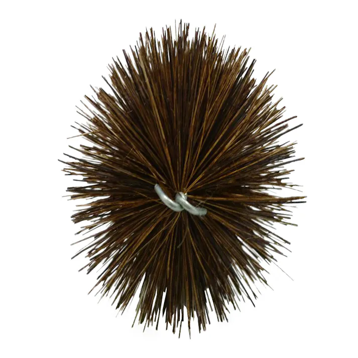 エントブラシシダ 4.0寸