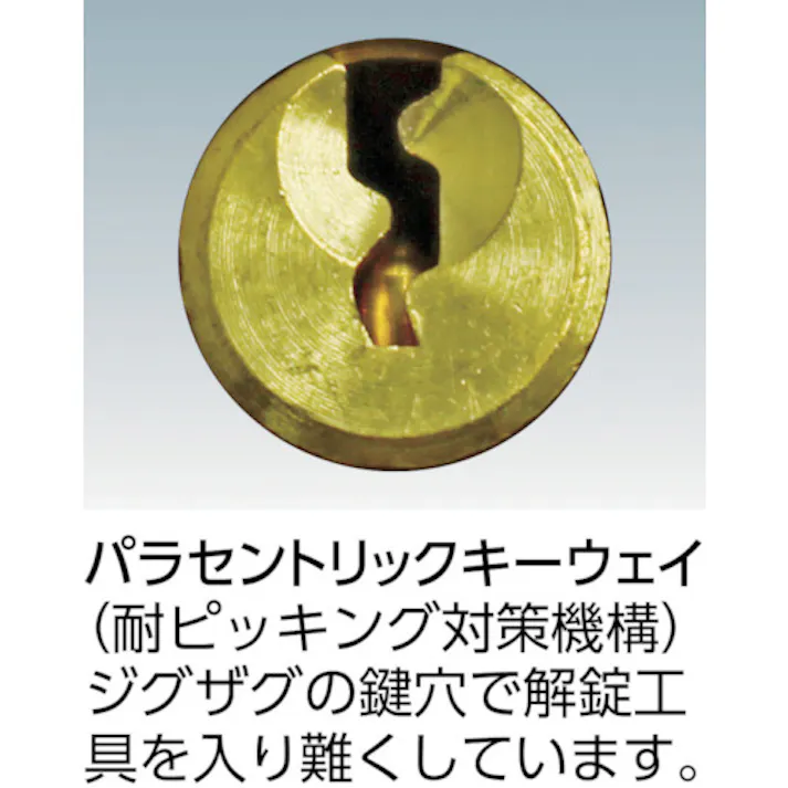 【CAINZ-DASH】アバス社 真鍮南京錠 T84MB-15LS 同番 T84MB-15LS-KA【別送品】