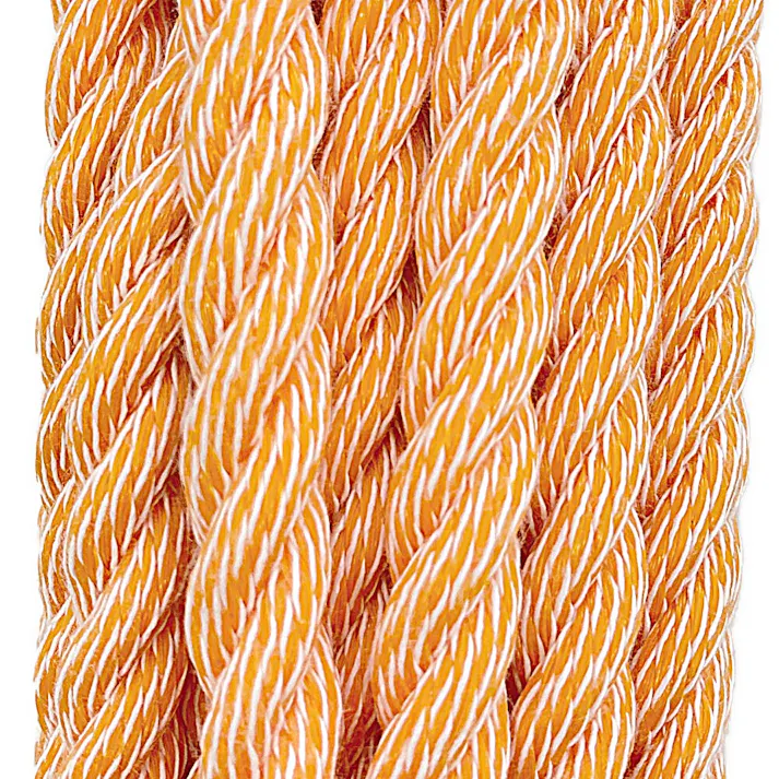 カインズ PVトラックロープ 太さ12mm×長さ20m