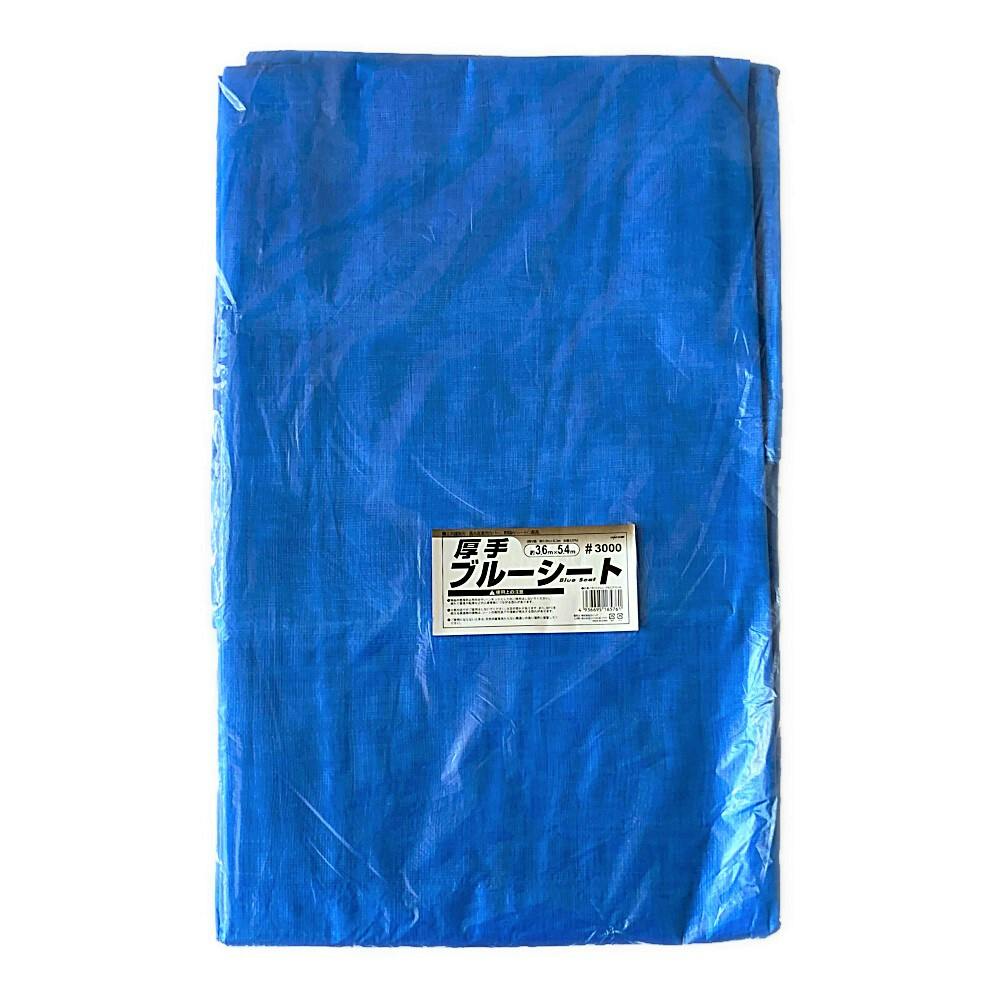 ブルーマン専用 Z-SMOOTH WHEELS P.O.P BLUE 63mm 83a – Z-FLEX SKATEBOARDS JAPAN