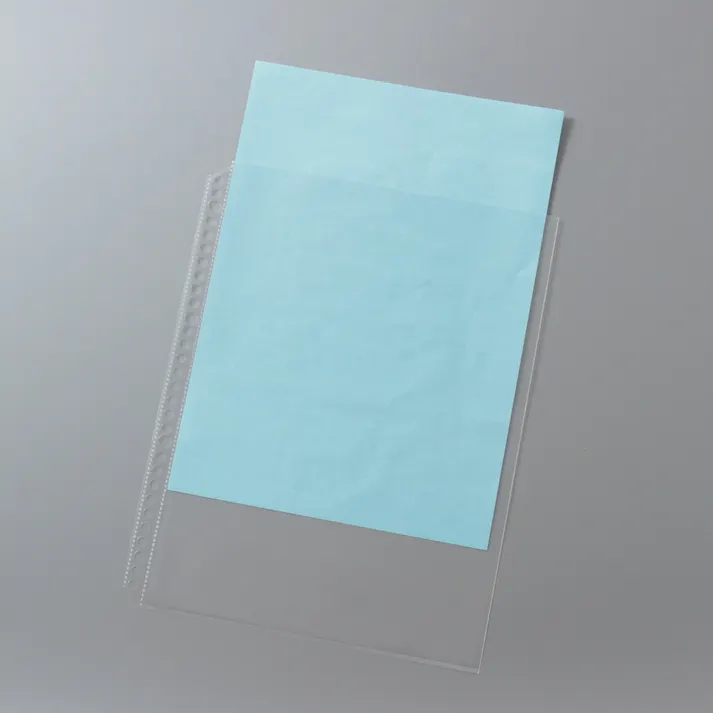 システムリフィル A4 エンボス 10枚 RAE-10