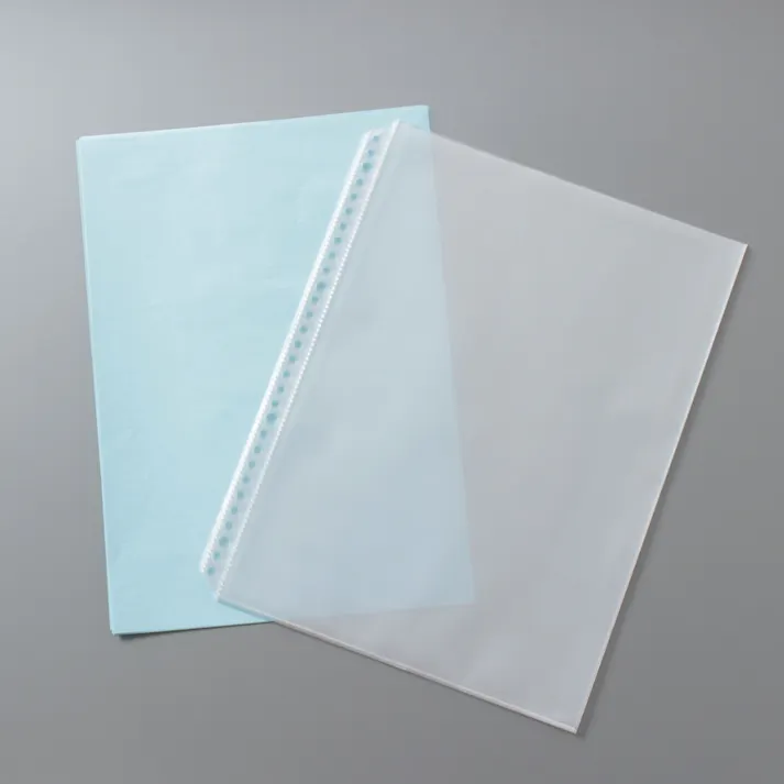 システムリフィル A4 エンボス 10枚 RAE-10