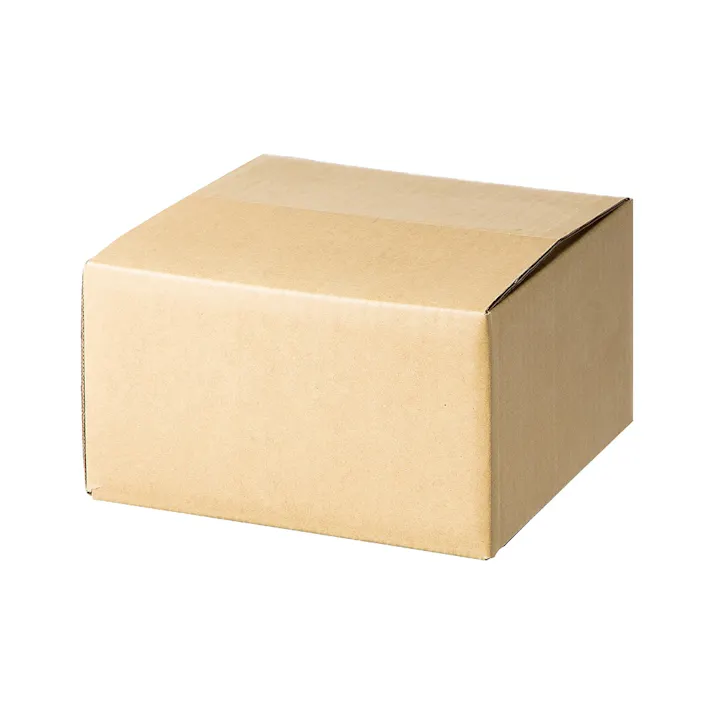 カインズ 60サイズ 段ボール箱 SS 238×218×137mm