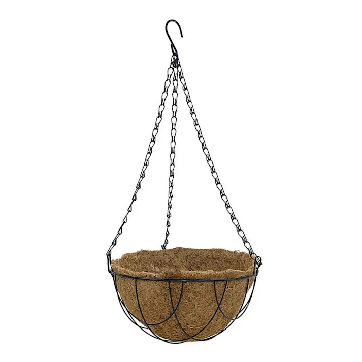 ハンギングバスケット 25cm