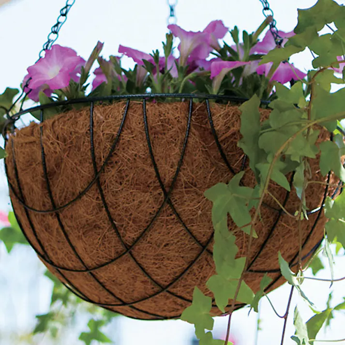 カインズ ハンギングバスケット 30cm