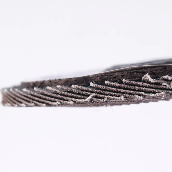 角度付き フラップジスク A#120 10枚