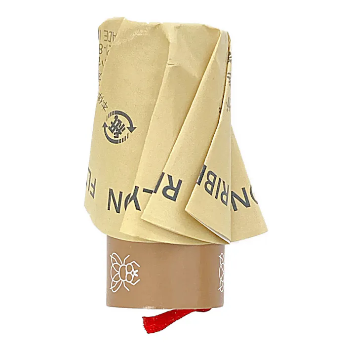 CAINZ ハエとりリボン 5個