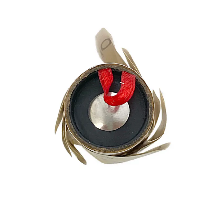 CAINZ ハエとりリボン 5個