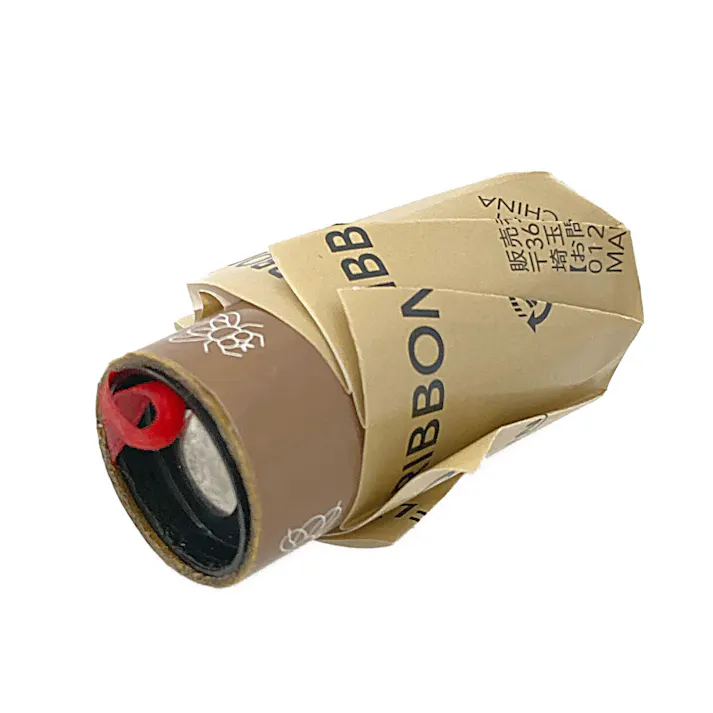 CAINZ ハエとりリボン 5個