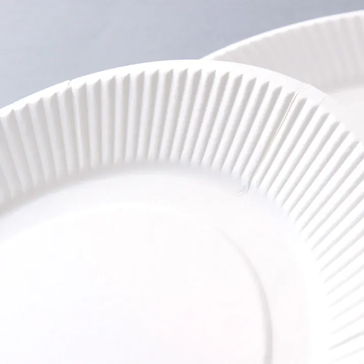 紙皿 外径15cm 30枚入 KZ15-30