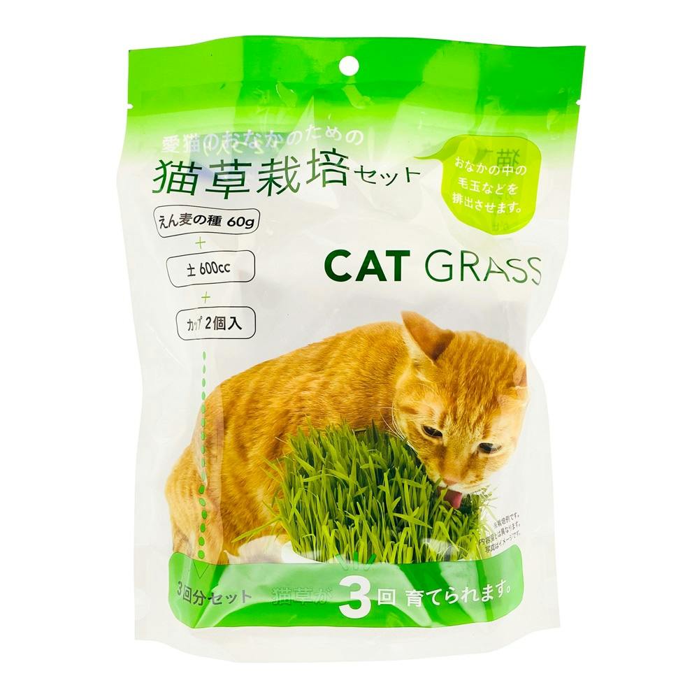 Pet'sOne 猫草栽培セット 3回分 ペット用品（猫） ホームセンター通販【カインズ】
