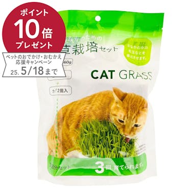 Pet’sOne 猫草栽培セット 3回分
