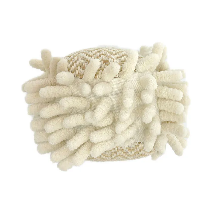 デンタル玩具 ボール