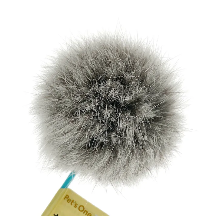 猫じゃらし グレー