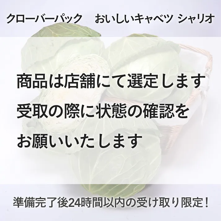 クローバーパック おいしいキャベツ シャリオ